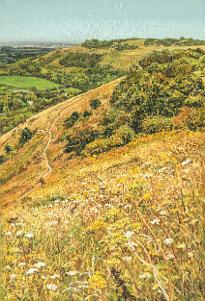 Oil painting of golden hills, with dried cow parsley and chalky path, winding round Devil's Dyke hill fort, looking towards Newtimber Hill, and its hill fort, on the South Downs in the South Downs National Park 