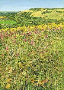 Painting of rosebay willowherb and brambles looking towards Newtimber on the South Downs, within the South Downs National Park