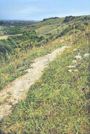 Chalky path, along the South Downs Way in Sussex, looking towards Ditchling Beacon