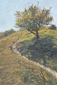 A windswept hawthorne tree in glorious autumn colour with winding chalk path, on the slopes of the South Downs, between Ditchling Beacon and Devils Dyke, South Downs National Park