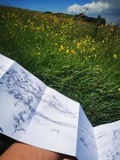 Sketching the view above, Buttercups on Ditchling Beacon