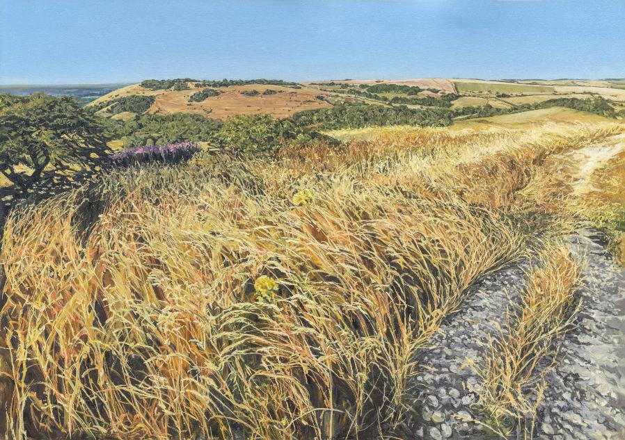 Swaying grass looking towards Newtimber Hill from Devil's Dyke on the South Downs by Sussex Artist Bonnita Apperley